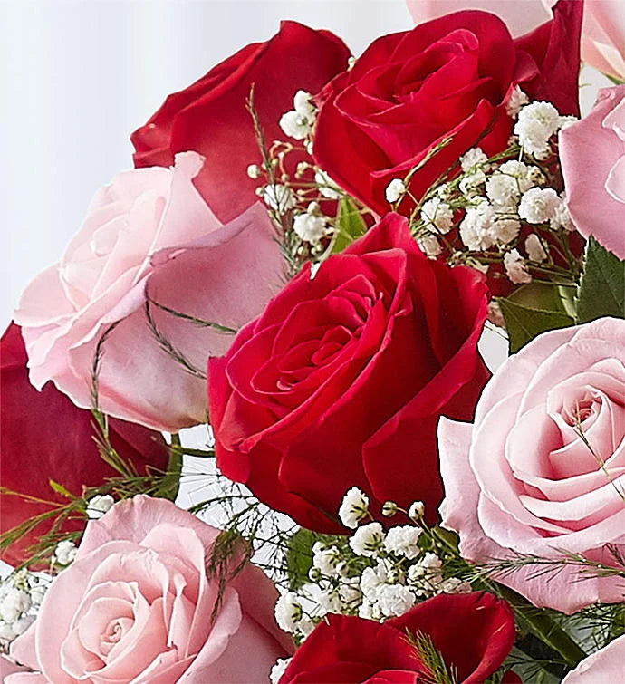 Elegant Long Stem Pink & Red Roses