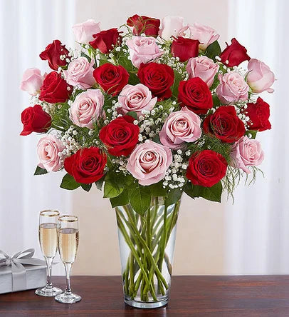 Elegant Long Stem Pink & Red Roses