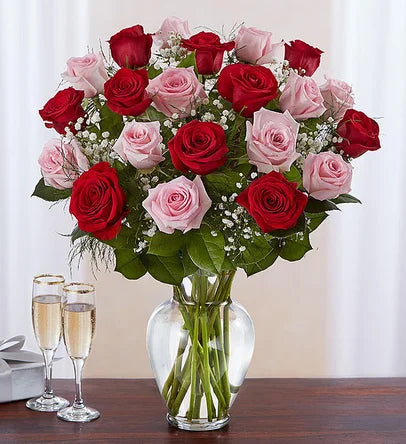 Elegant Long Stem Pink & Red Roses