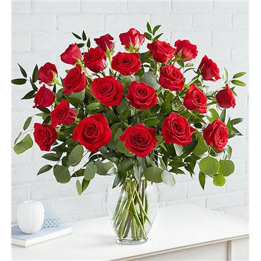 Desire of the Heart Roses