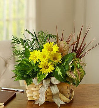 Dish Garden With Fresh Cut Flowers