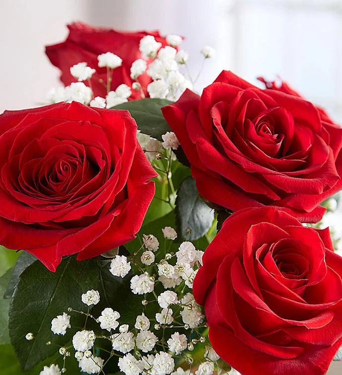 Elegant Long Stem Red Roses