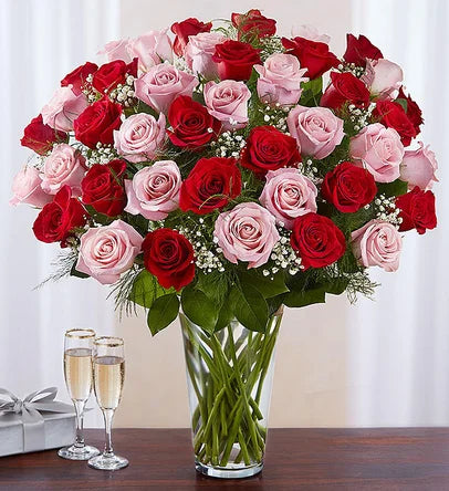 Elegant Long Stem Pink & Red Roses