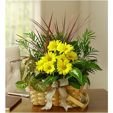 Dish Garden With Fresh Cut Flowers
